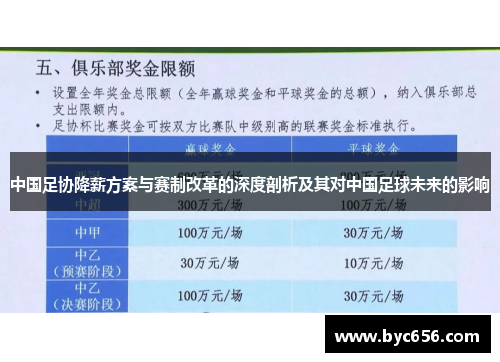 中国足协降薪方案与赛制改革的深度剖析及其对中国足球未来的影响