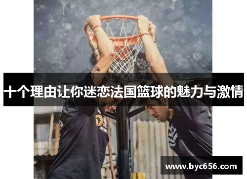 十个理由让你迷恋法国篮球的魅力与激情