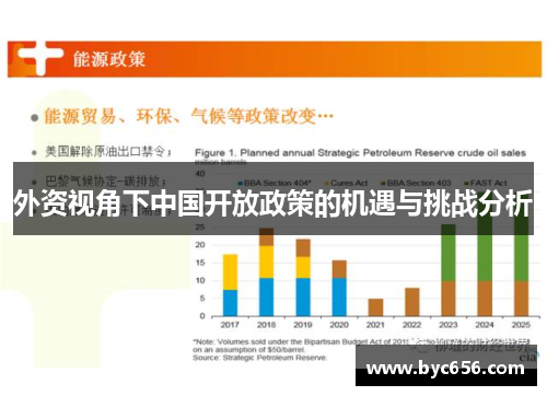 外资视角下中国开放政策的机遇与挑战分析